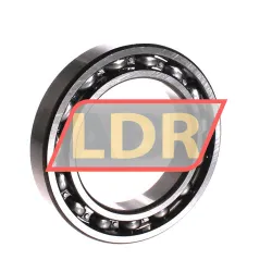 NSK 6013CM rulman resim 2