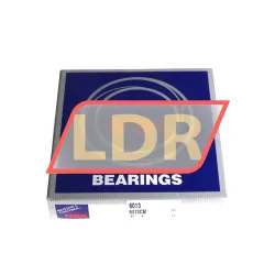 NSK 6013CM rulman resim 3