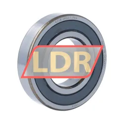 SLF Fraureuth 6208-2RSD-T-P54