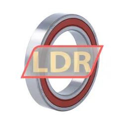 NTN 6909LLU