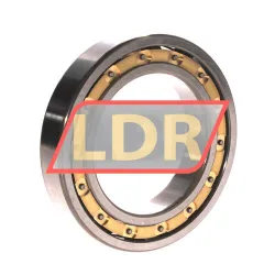 NTN 6014L1C3 rulman resim 2