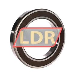 NSK 6024DDUCM rulman resim 2