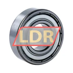 FAG 6006-2Z-L069-C3 rulman resim 2