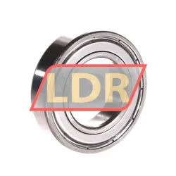 SNR 6006ZZC3 rulman resim 2