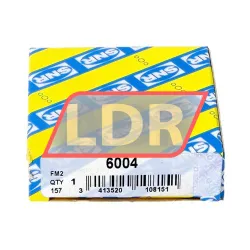 SNR 6004 rulman resim 3