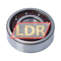 SLF Fraureuth 6203TB-P63 rulman resim 2