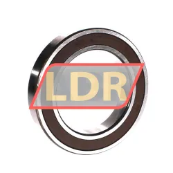 NSK 6017DDUC3E rulman resim 2