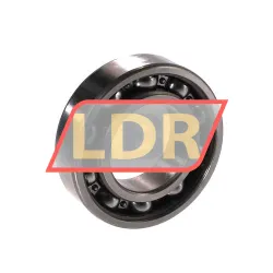 NTN 6005LU rulman resim 2