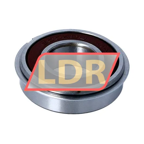 NSK 6004DDUNR ürün fotoğrafı 2