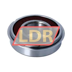 NSK 6004DDUNR rulman resim 2