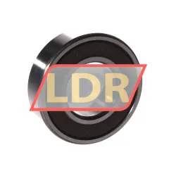 NSK 6205L11DDU