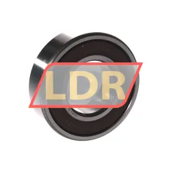 NSK 6205L11DDU rulman resim 2