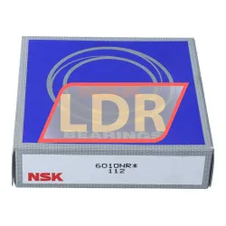 NSK 6010NR rulman resim 3