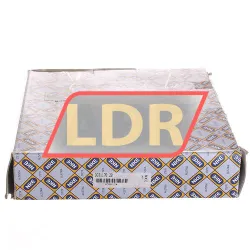 NKE DGB117020 rulman resim 4