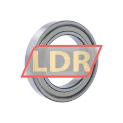 NSK 6018ZZC4 rulman resim 2