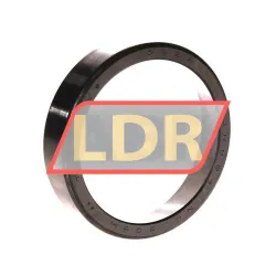 Timken HM807010-22024