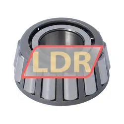 SKF 09067