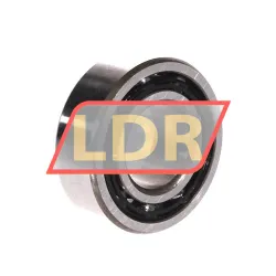 INA 4202 rulman resim 2