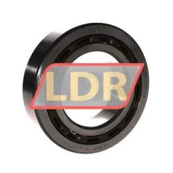 SKF 4217ATN9