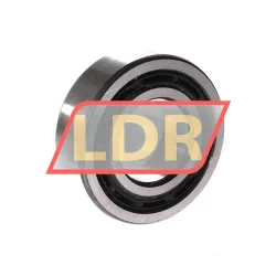 NSK 4207BTNGC3 rulman resim 2