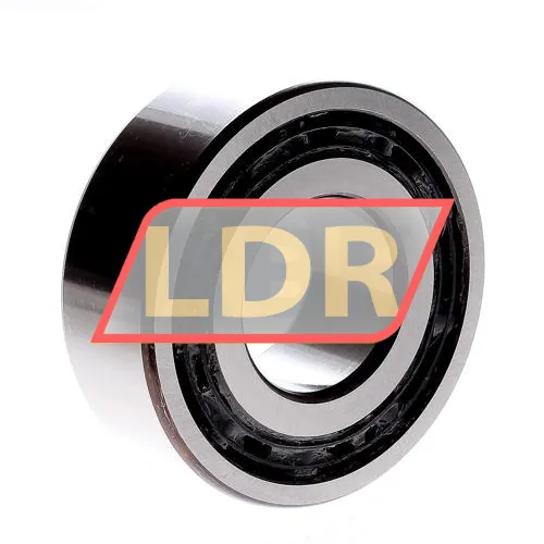 NSK 4309B TNG ürün fotoğrafı 2