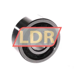 NSK 4203BTNGC3 rulman resim 2