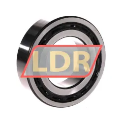NSK 4212BTNGC3 rulman resim 2
