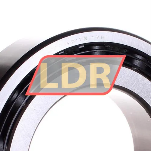 RHP 4217B TNH ürün fotoğrafı 2