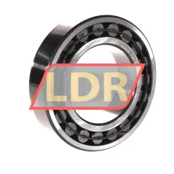 SKF C2216/C3 rulman resim 2