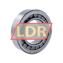 SKF C2211V