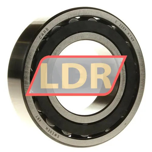 SKF C2209KTN9
