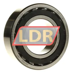 SKF C2209KTN9