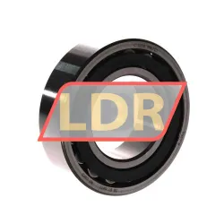 SKF C2209TN9/C3