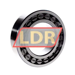 SKF C2217/C3 rulman resim 2
