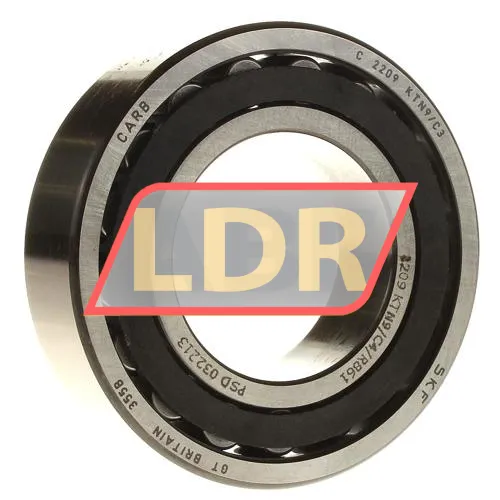 SKF C2209KTN9/C4/R861