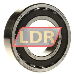 SKF C2209KTN9/C4/R861