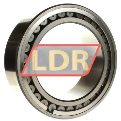 SKF C4028V/C4