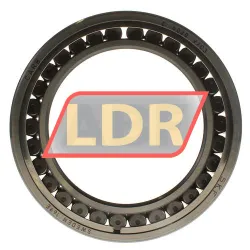 SKF C4020V/C3 rulman resim 3