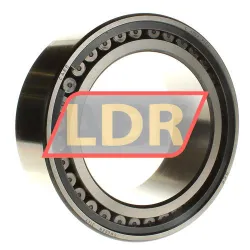 SKF C4024V/C3