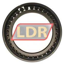 SKF C4024V/C3 rulman resim 3