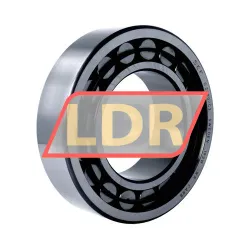 SKF C2220/C3