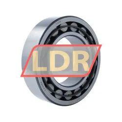 SKF C2220