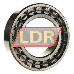 SKF C2216
