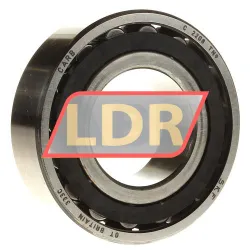 SKF C2208TN9