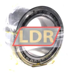 SKF C5020V/C4