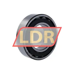 SKF C2213KTN9