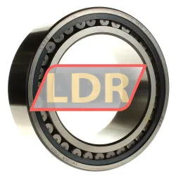 SKF C4030V/C4