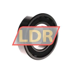 SKF C2211TN9 rulman resim 2