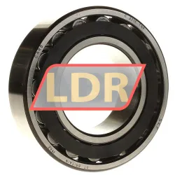 SKF C2213TN9