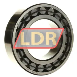 SKF C2218